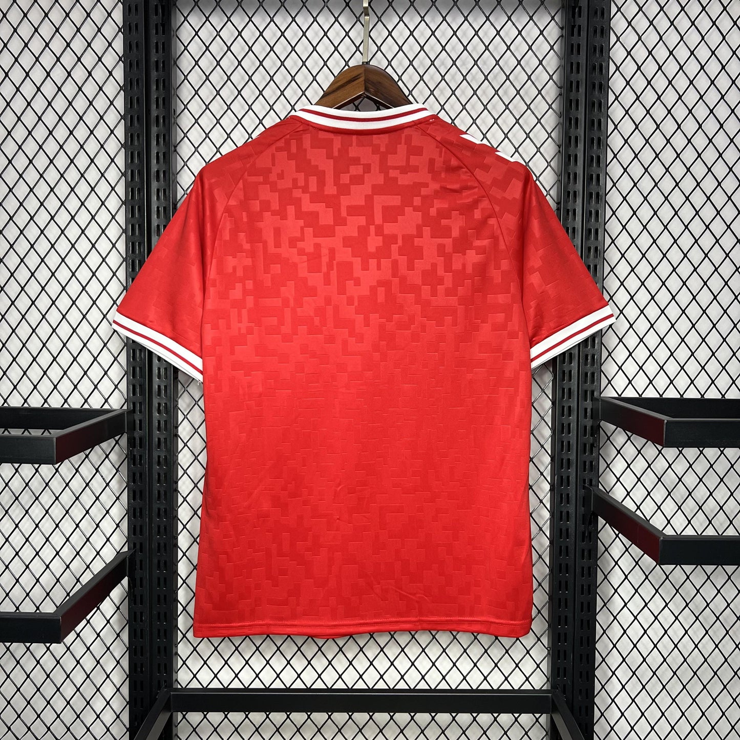 Camisa Dinamarca 1 - 2024/25