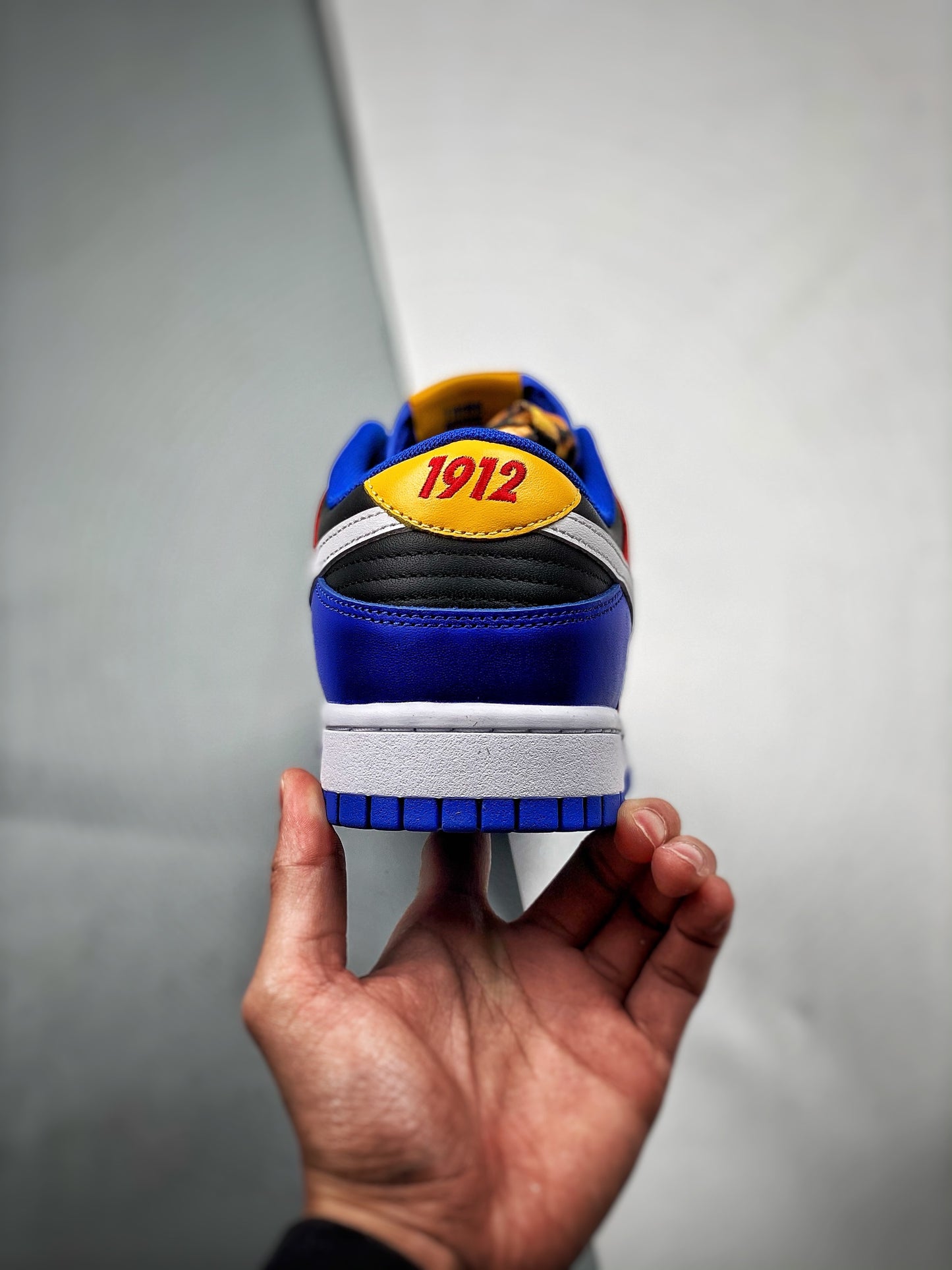 Nike Dunk Low Tennessee State University