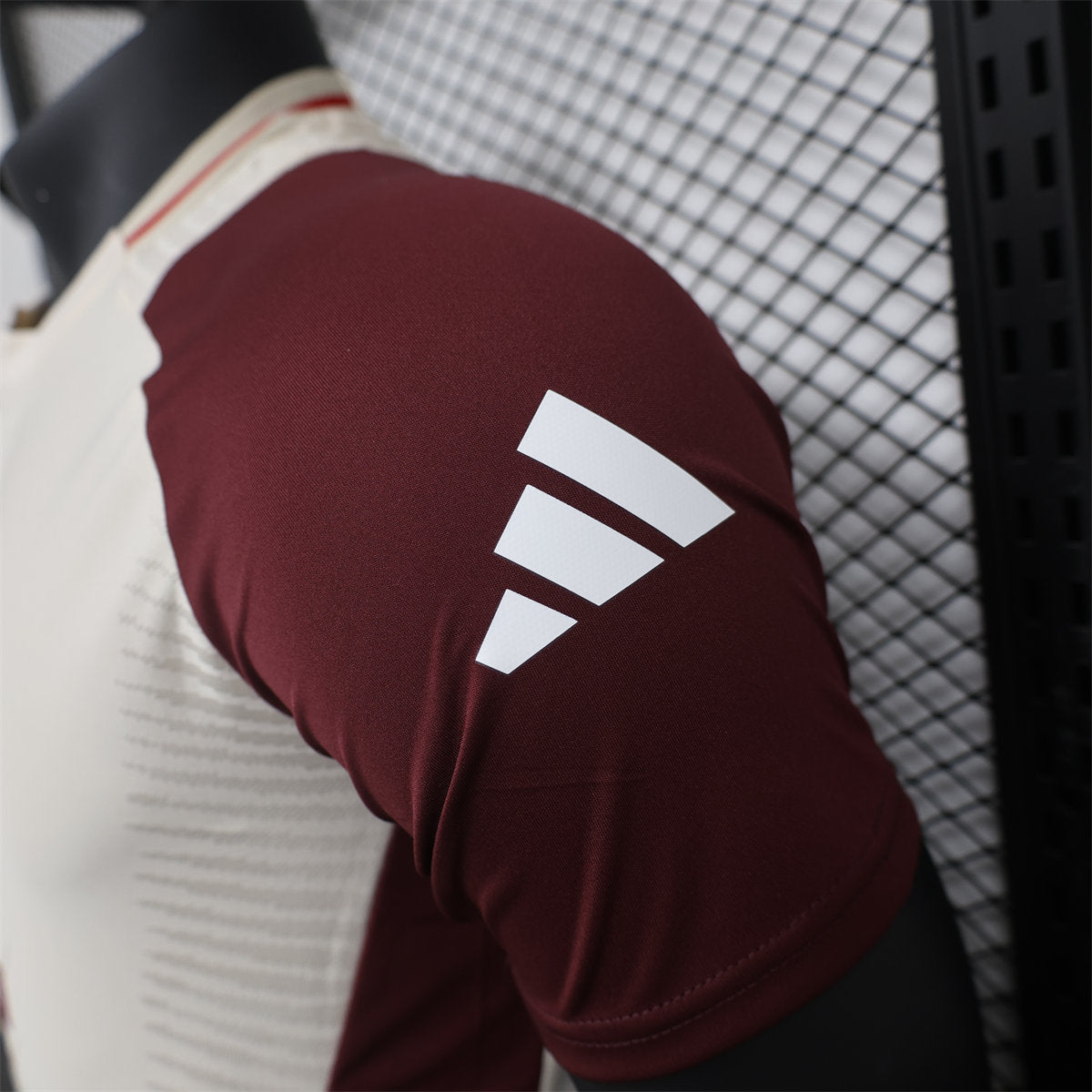 Camisa Bayern - Treino - 2024/25