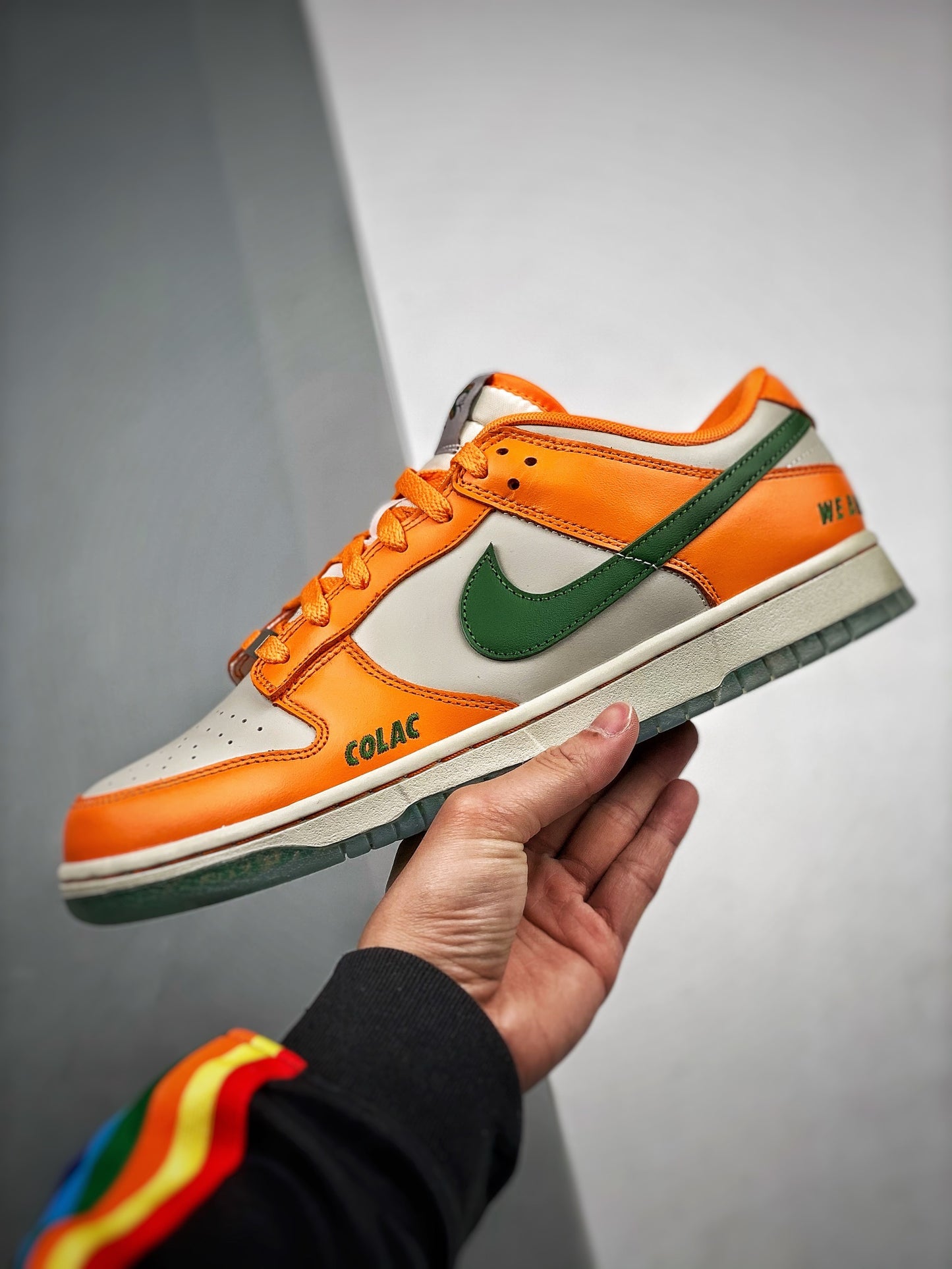 Nike Dunk Low Florida A&M University