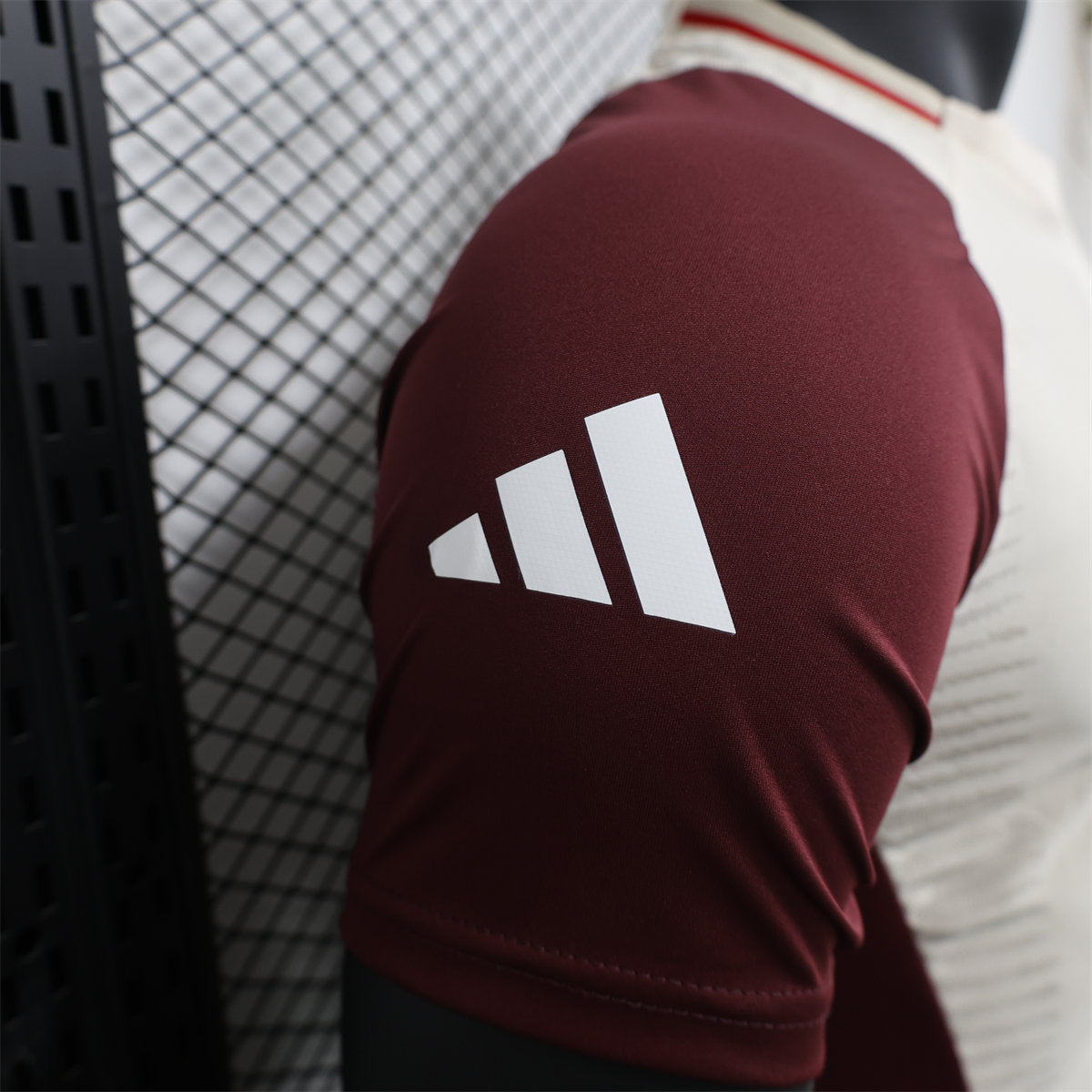 Camisa Bayern - Treino - 2024/25