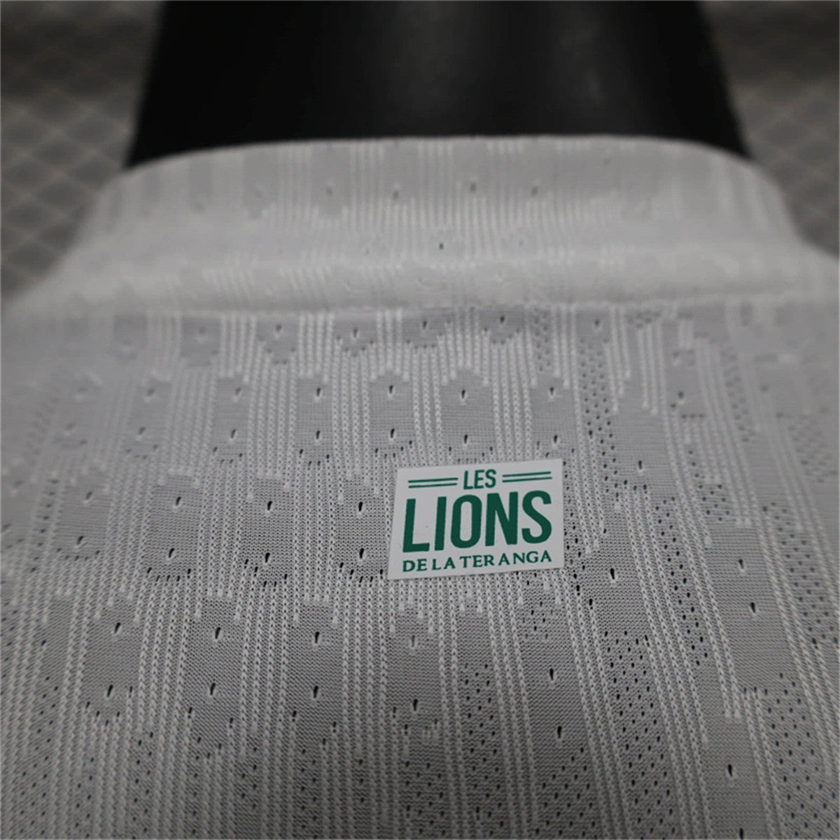 Camisa Senegal 1 - Modelo Jogador - 2024/25