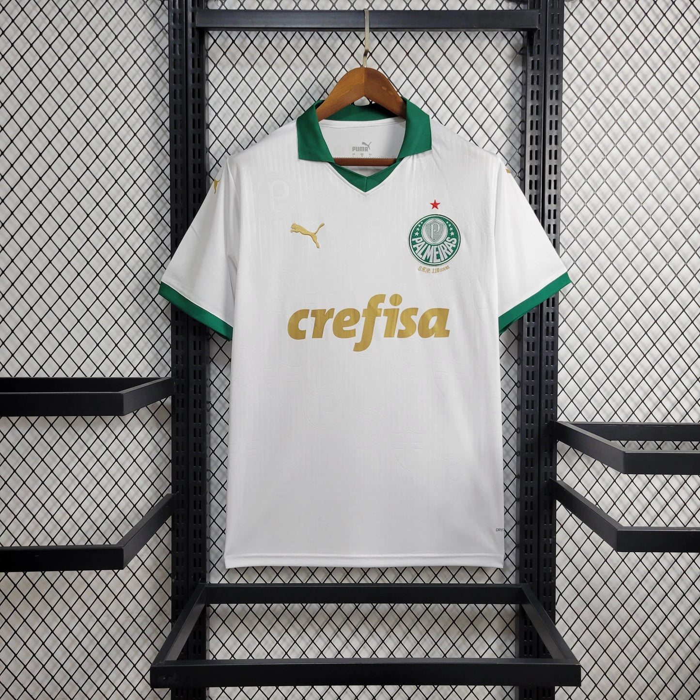 Camisa Palmeiras 2 - 24/25