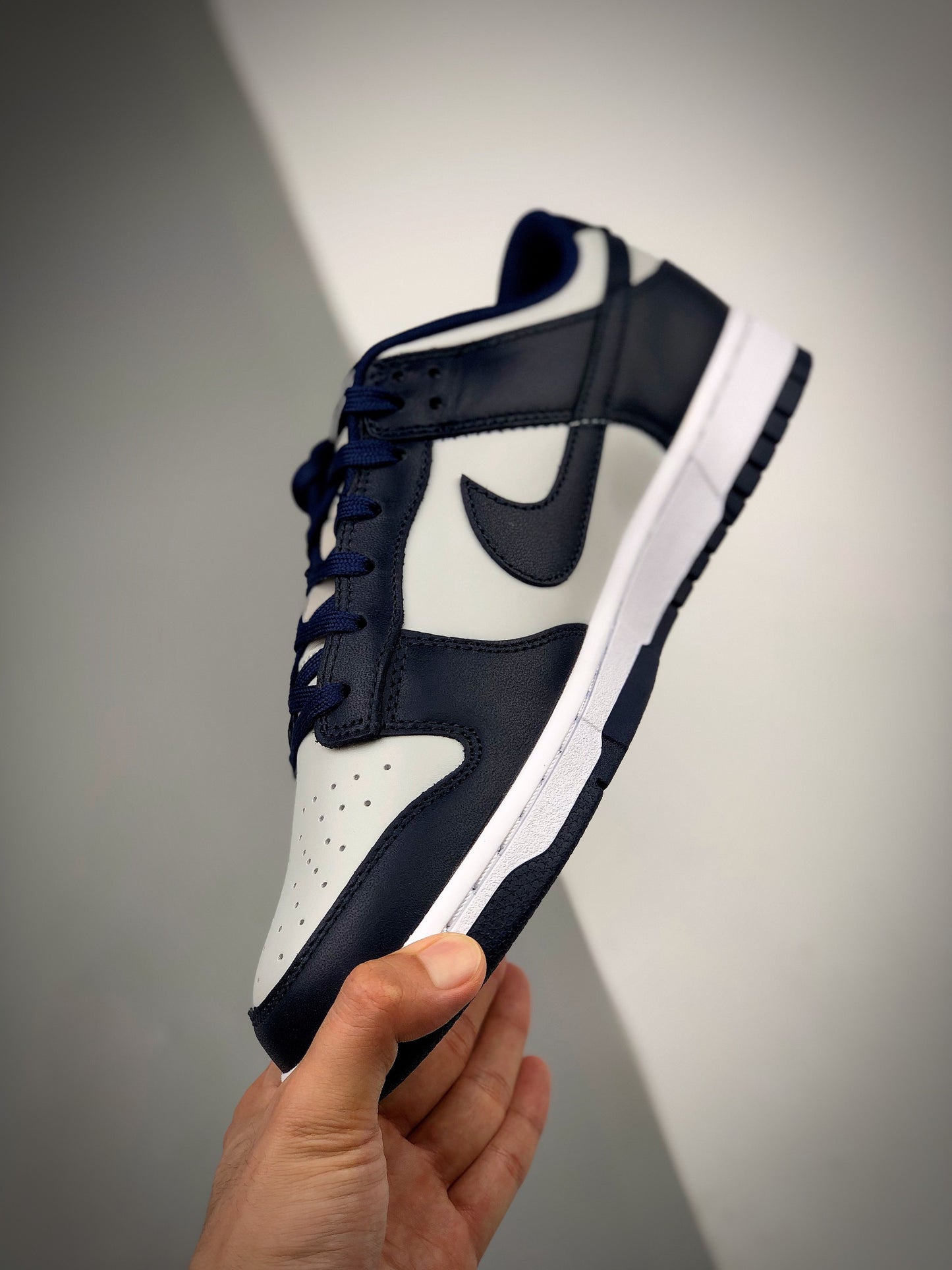 Nike Dunk Low Retro 'Georgetown'