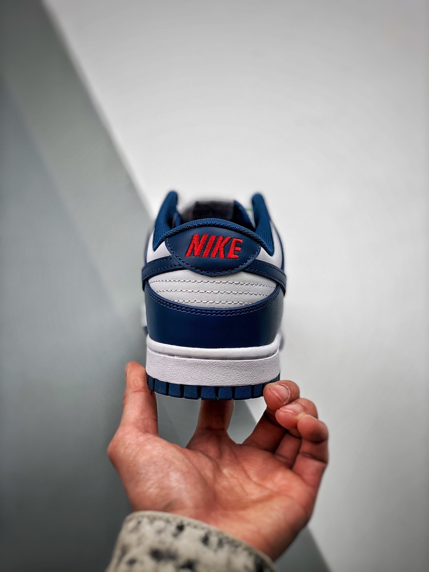 Nike Dunk Low Retro 'Valerian Blue'