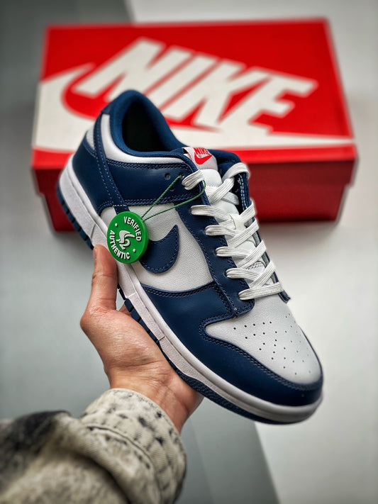 Nike Dunk Low Retro 'Valerian Blue'